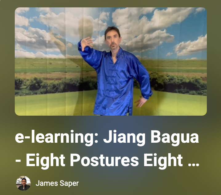 Bagua 8 Postures 8 Techniques